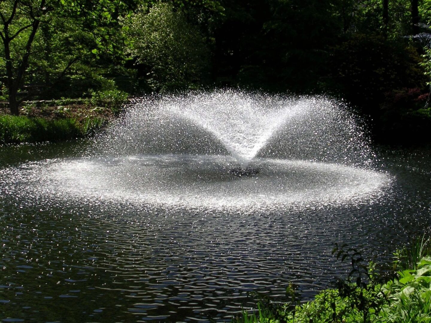 Fountain