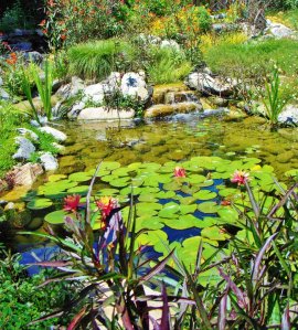 native-gardens-with-water-gardens