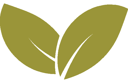 Sustainable Landscape Design Contractor in Los Angeles 